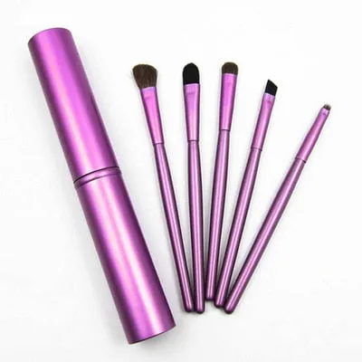 5 Pieces Travel Portable Mini Eye Makeup Professional Brushes Set