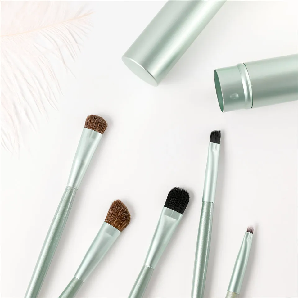 5 Pieces Travel Portable Mini Eye Makeup Professional Brushes Set