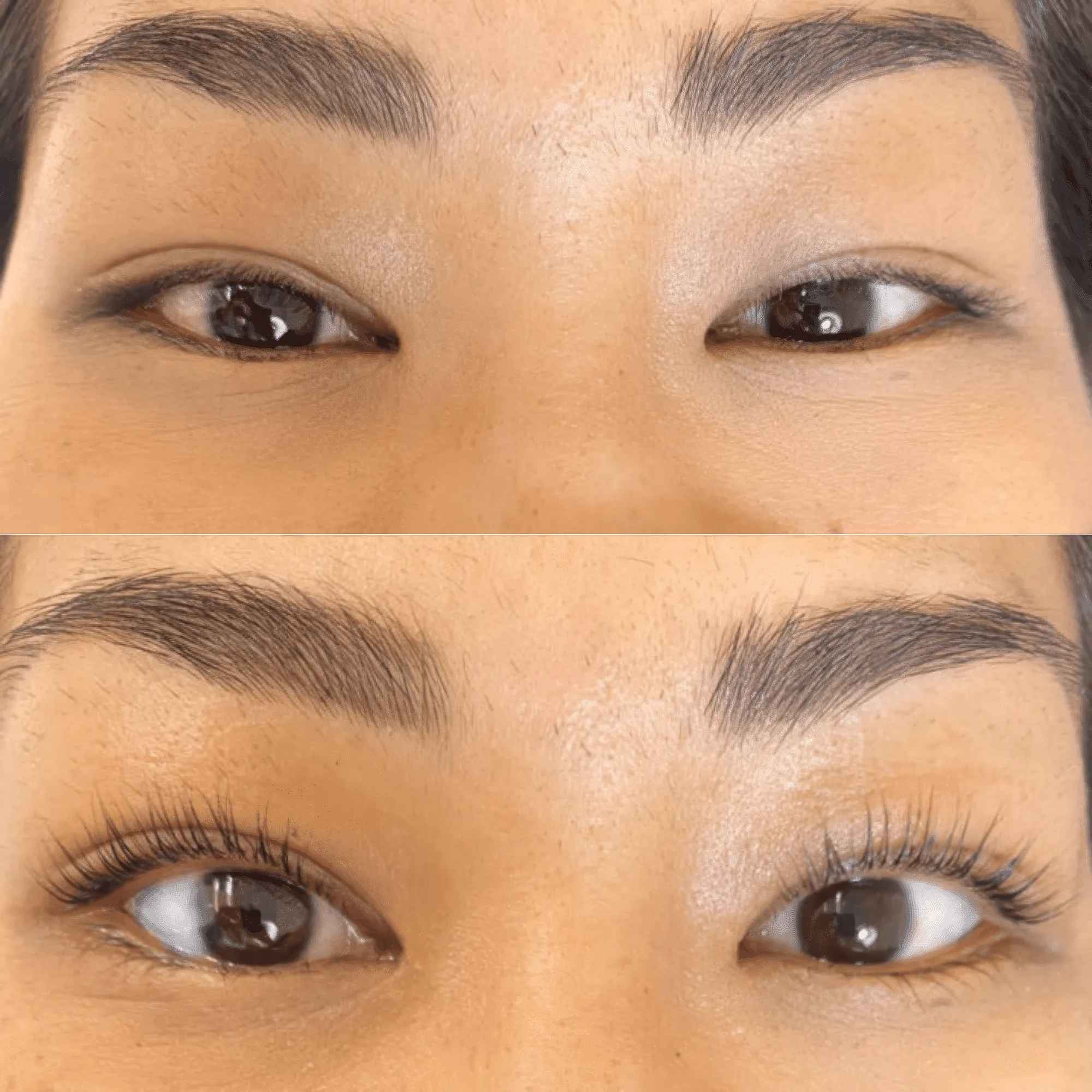 Luxe Lashlift Set (BOGO DEAL)