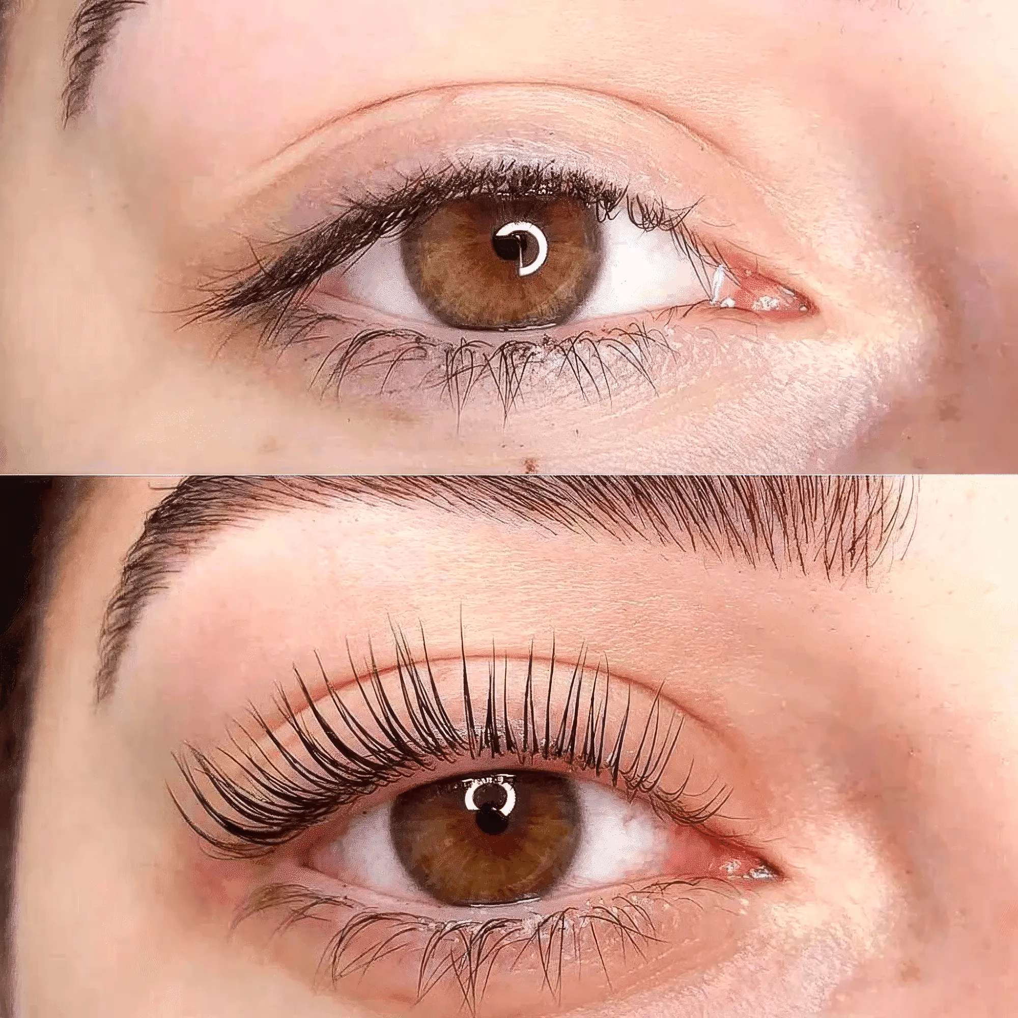 Luxe Lashlift Set (BOGO DEAL)