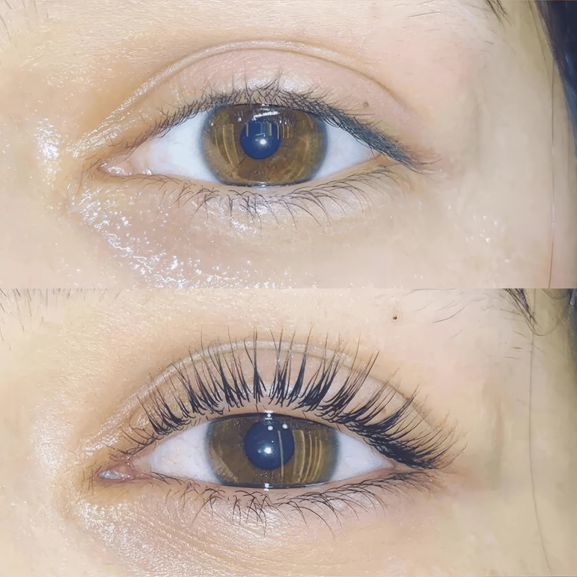 Luxe Lashlift Set (BOGO DEAL)